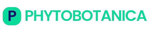 phytobotanica.com